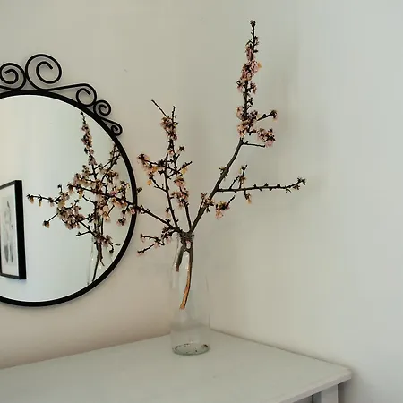 Antonija Apartment *